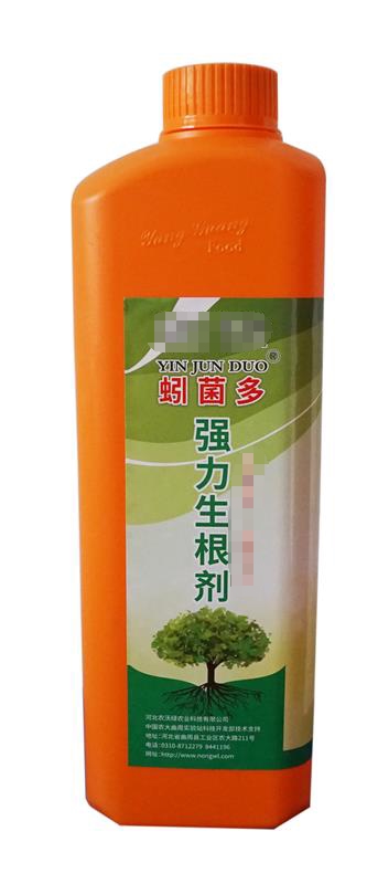 (qing)